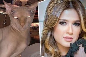 قطة ياسمين عبد العزيز تسبب حالة من الذعر على السوشيال ميديا