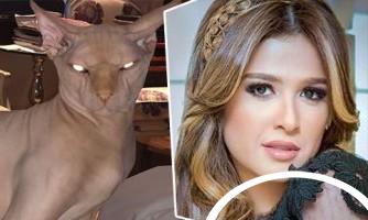 قطة ياسمين عبد العزيز تسبب حالة من الذعر على السوشيال ميديا